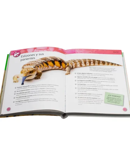 Enciclopedia infantil 384 páginas sobre animales - 9786075324494-1
