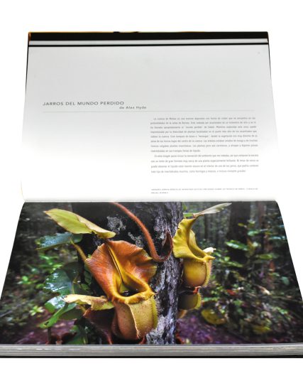 LIBRO CON FOTOGRAFIAS EL MOMENTO MAGICO - 9786075322841-1