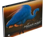 LIBRO CON FOTOGRAFIAS EL MOMENTO MAGICO - 9786075322841