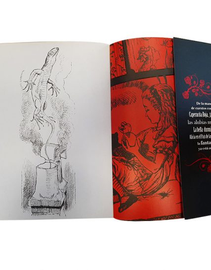 Libro colorear para adultos fantasía