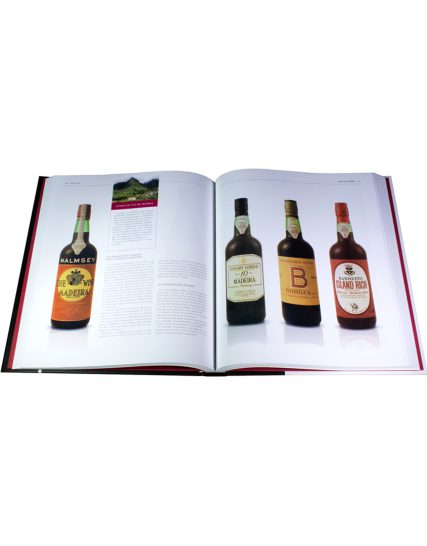 Sommelier Gran formato GUIA ESENCIAL DE LOS VINOS - 9786075320946-1