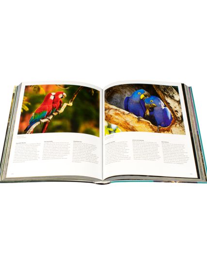 Fotografías Chunky Brazil - 9783741925337-1