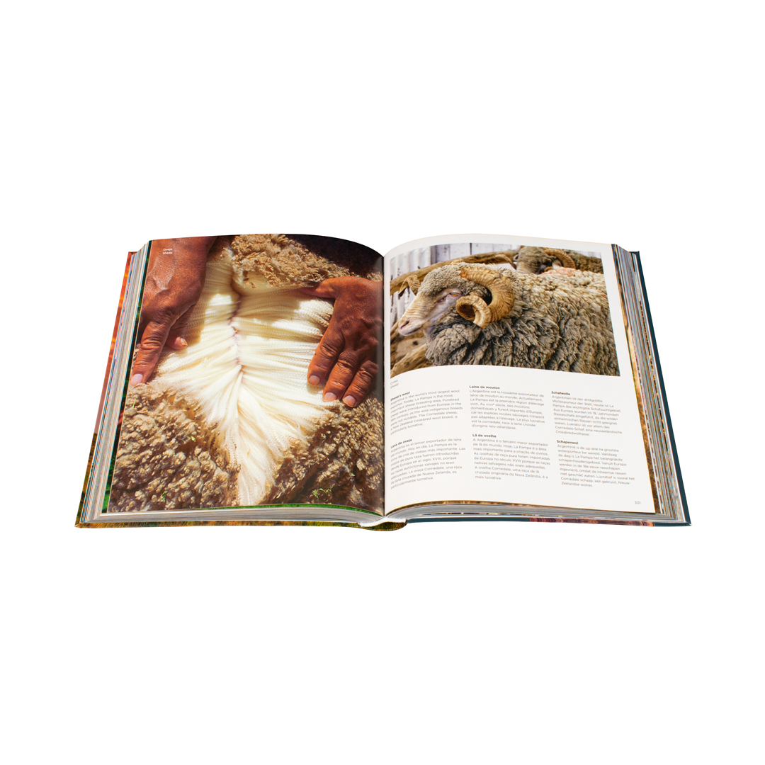 Libro con fotografías Chunky Argentina - 9783741925320-1