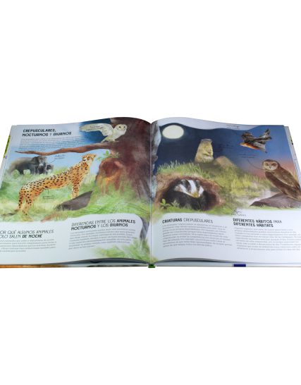 Libro Infantil Mundo Maravilloso El reino animal - 9789464223897-1