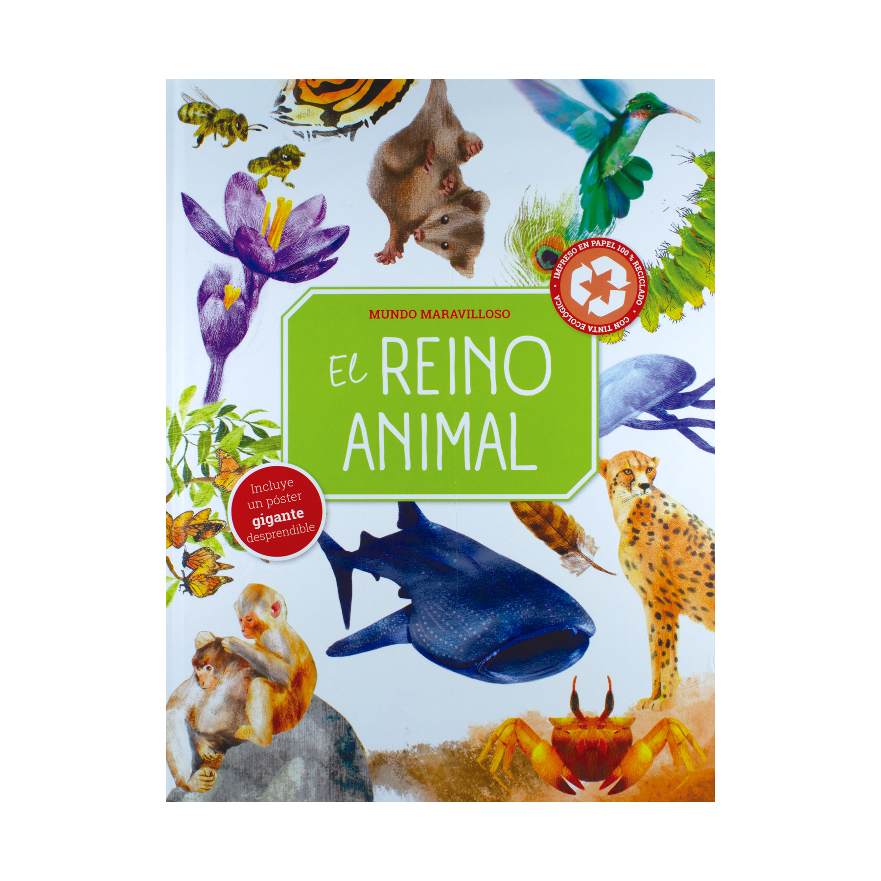 Libro Infantil Mundo Maravilloso El reino animal - 9789464223897-2