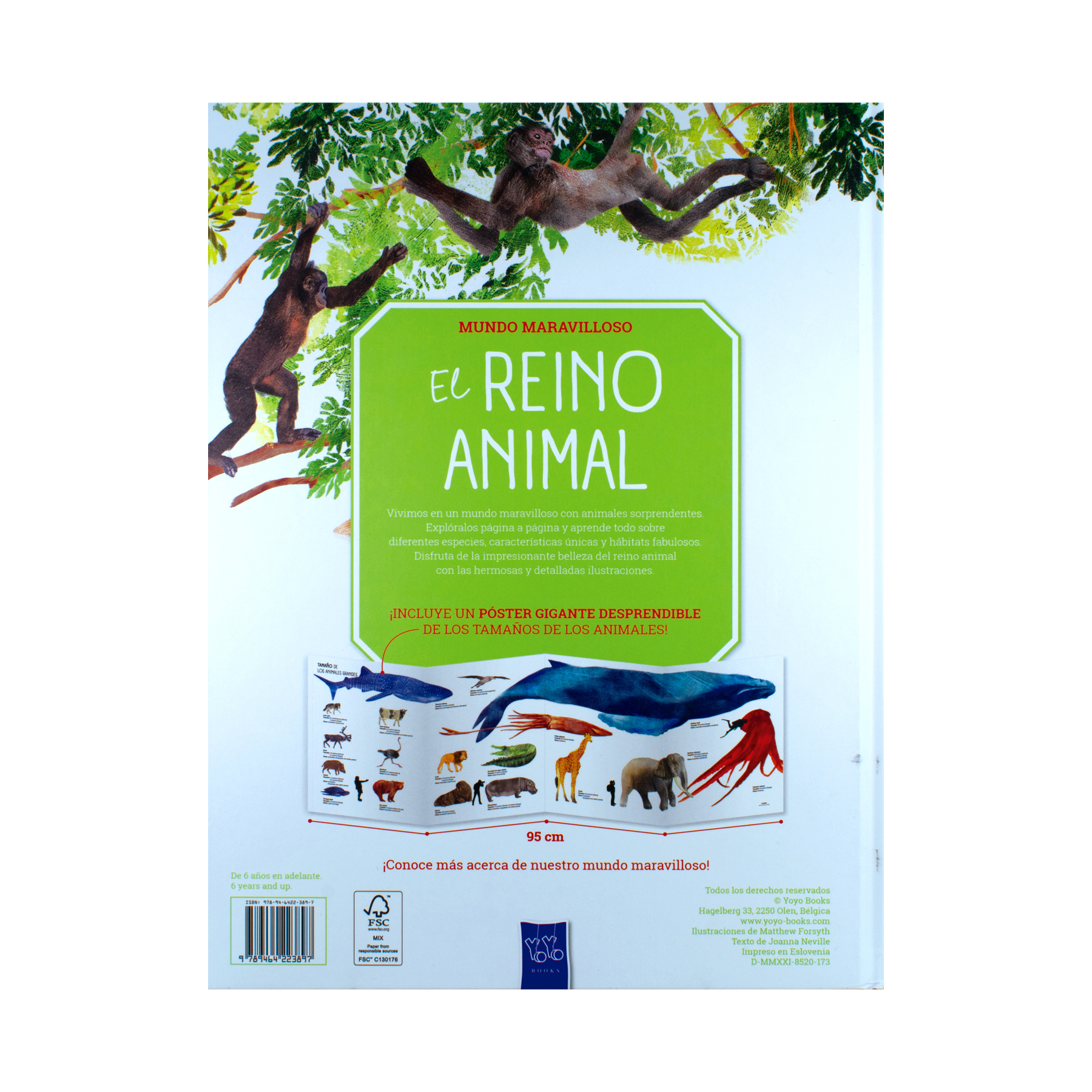 Libro Infantil Mundo Maravilloso El reino animal - 9789464223897-3