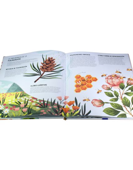Libro Infantil Mundo Maravilloso Naturaleza Sorprendente - 9789464223903-1