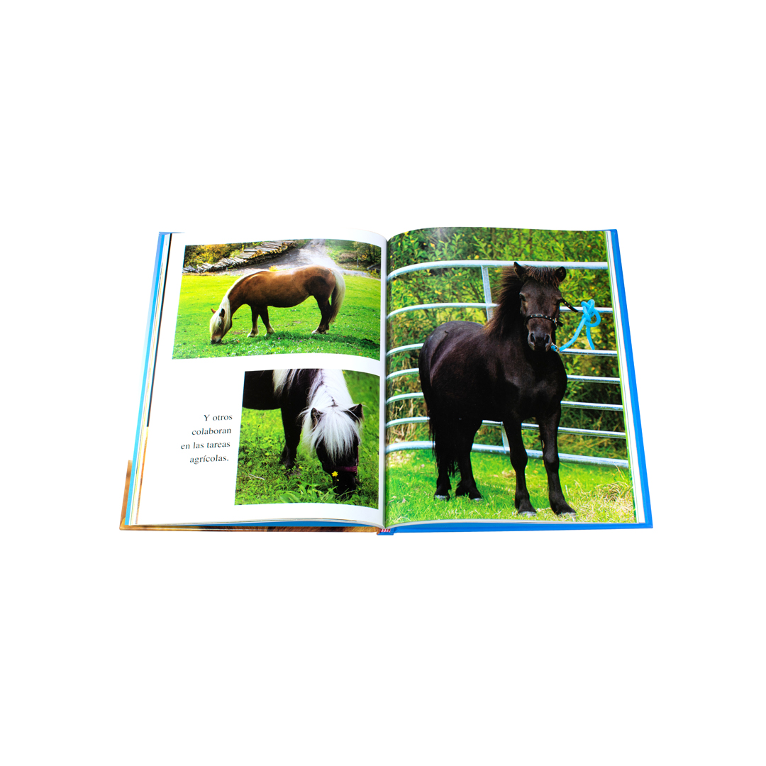 Libro Infantil Libro Infantil Animales en Imágenes Caballos. - 9786075327006-1