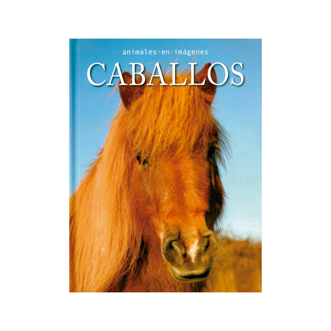 Libro Infantil Libro Infantil Animales en Imágenes Caballos. - 9786075327006-2