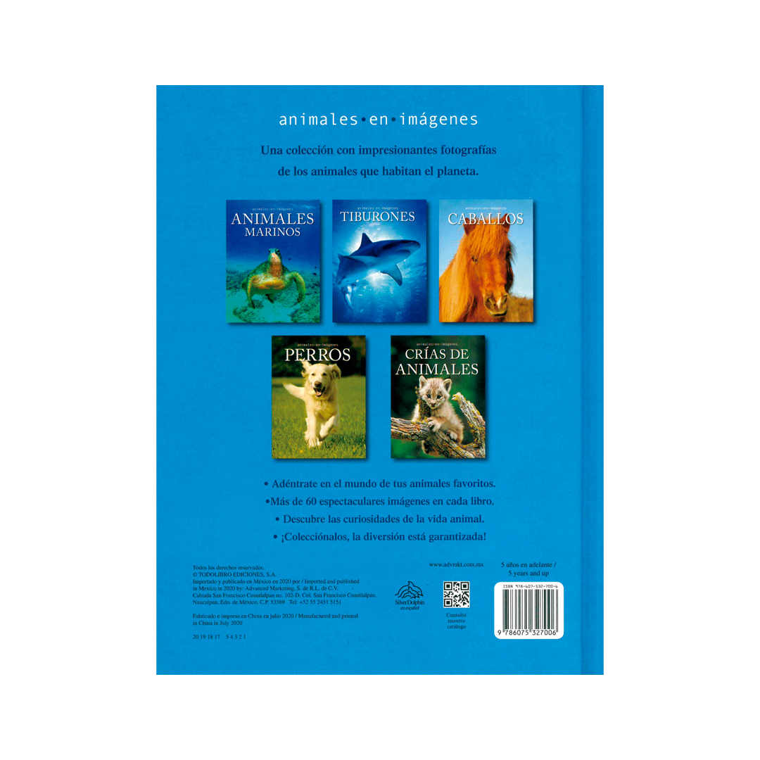 Libro Infantil Libro Infantil Animales en Imágenes Caballos. - 9786075327006-3