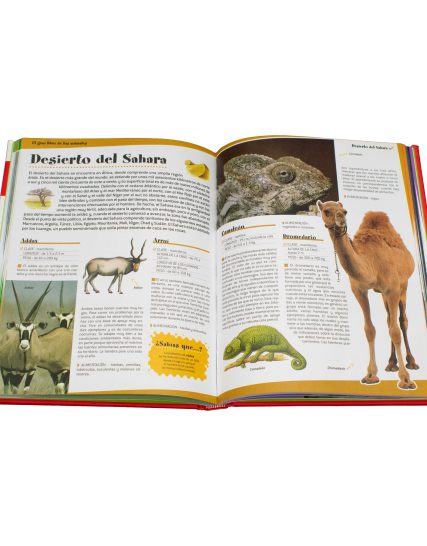 Libro de preguntas y respuestas El Gran Libro de los Animales - 9786075328539-1