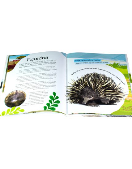 Libro infantil Universo Animal Animales singulares y muy raros - 9786075328850-1
