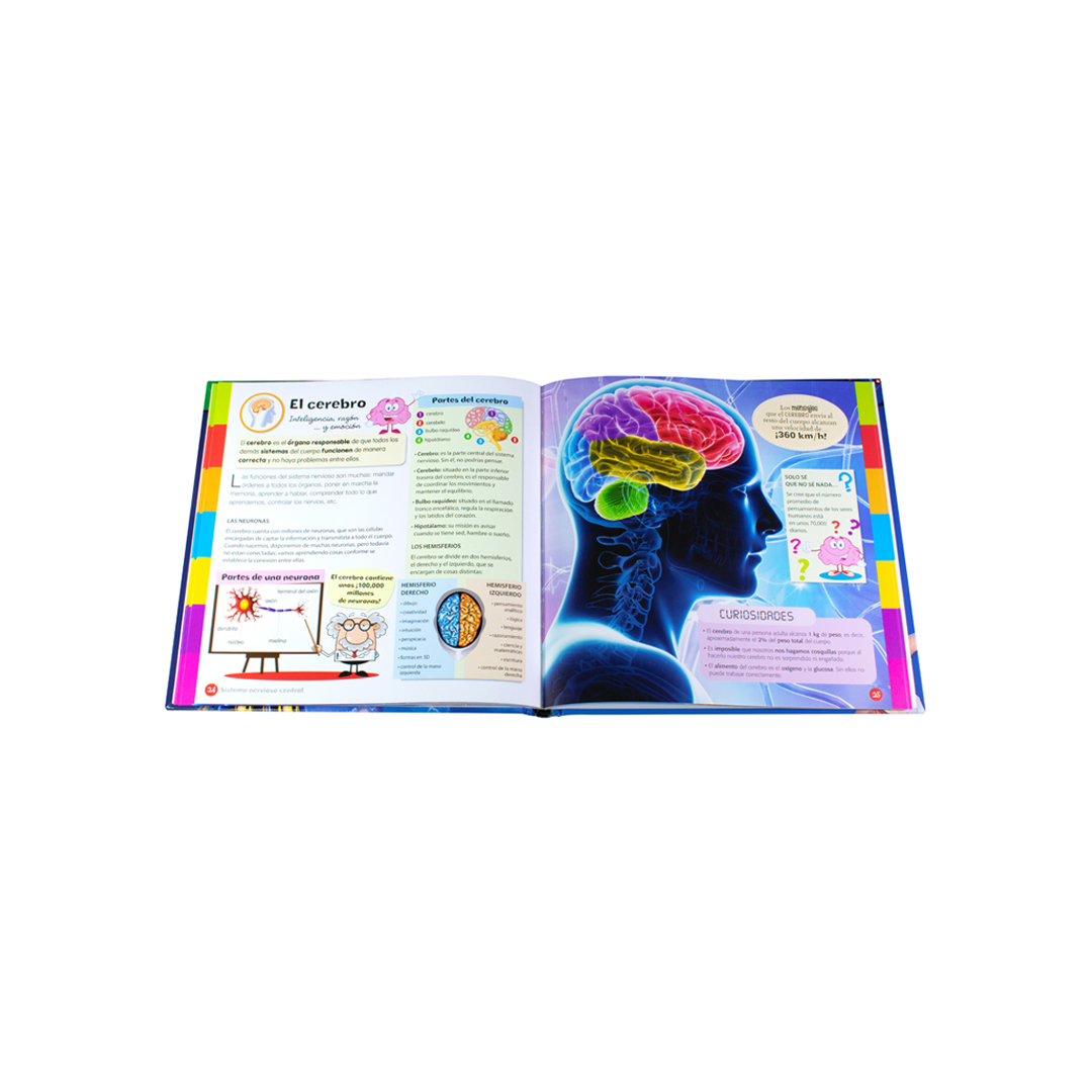Más de 6 años,interactivo, cuento, libro infantil, animales , niños, cuerpo humano, aprender - 9786075328843-1