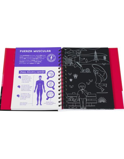 Libro interactivo raspa y descubre Cuerpo humano - 0685071545553-1
