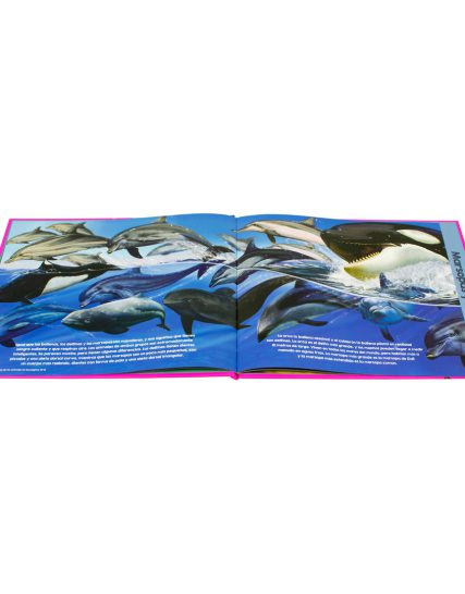 Libro infantil Garry Fleming animales de los oceanos - 9786075329413-1