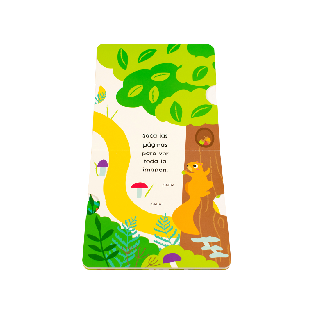 Cuento infantil Donde esta el conejito - 9786075329901-1