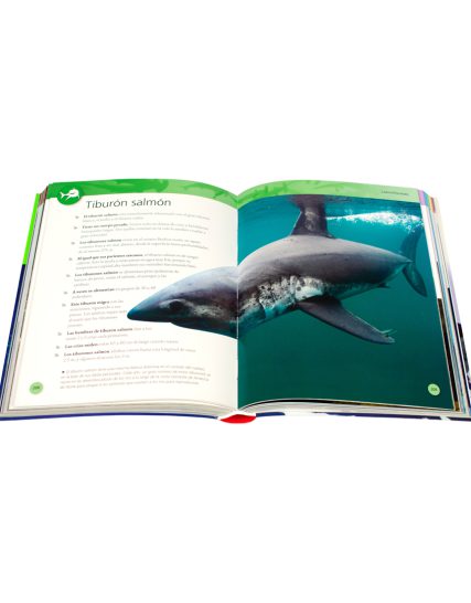 Enciclopedia infantil 384 Paginas enciclopedia de los tiburones - 9786075329819-1