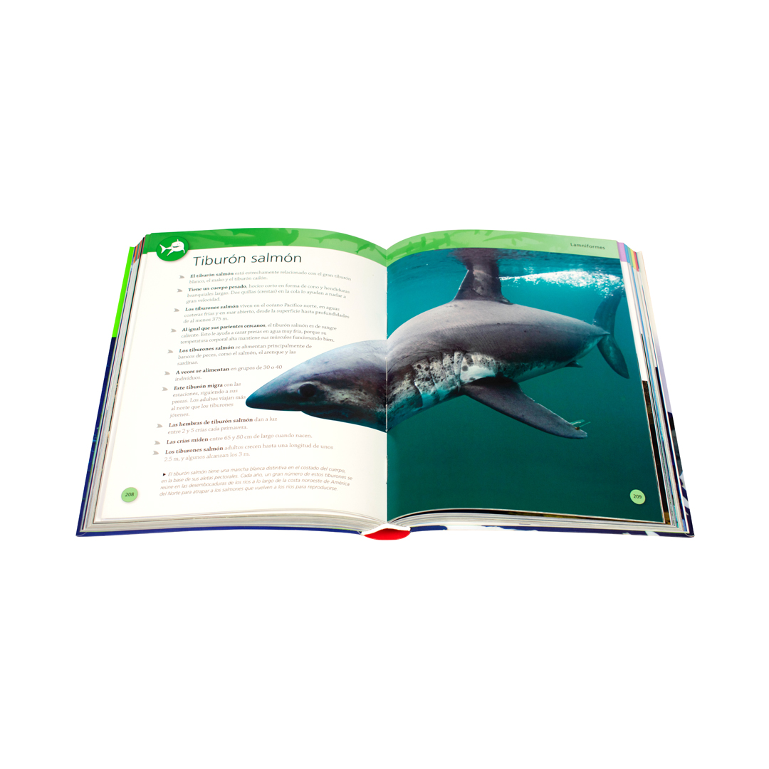 Enciclopedia infantil 384 Paginas enciclopedia de los tiburones - 9786075329819-1