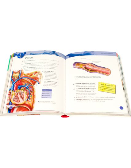 Enciclopedia infantil 384 Paginas enciclopedia del cuerpo humano - 9786075329826-1