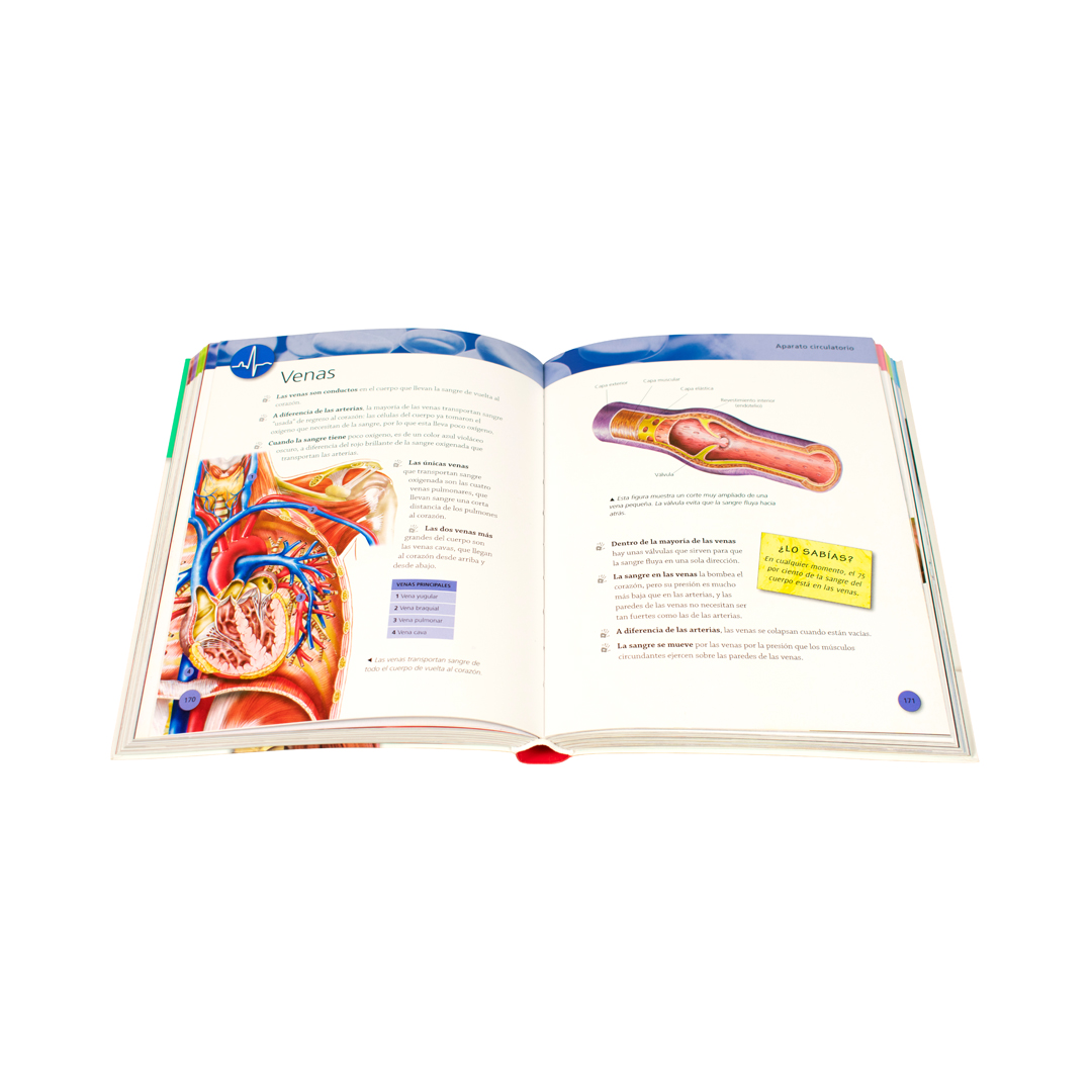 Enciclopedia infantil 384 Paginas enciclopedia del cuerpo humano - 9786075329826-1