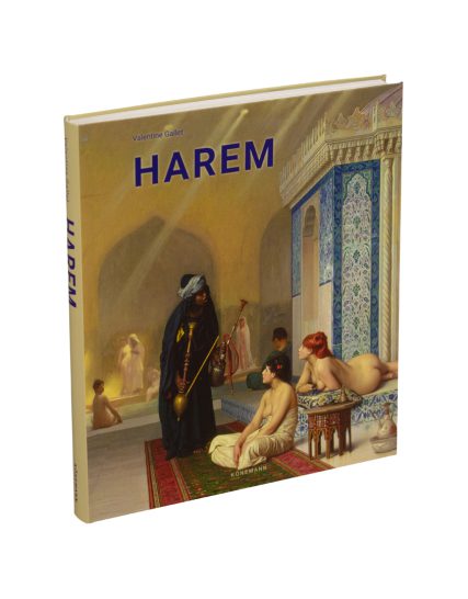 Libro de arte Flexi lady plus Harem - 9783741924163