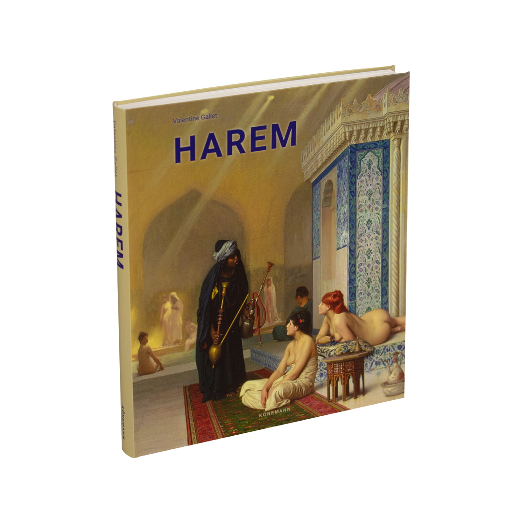Libro de arte Flexi lady plus Harem - 9783741924163