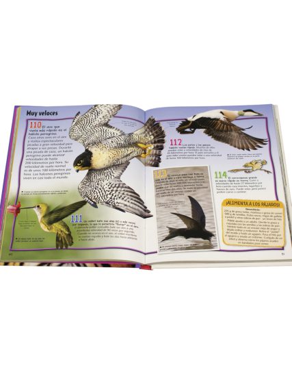 Libro infantil Enciclopedia Junior de los animales - 9786075329970-1