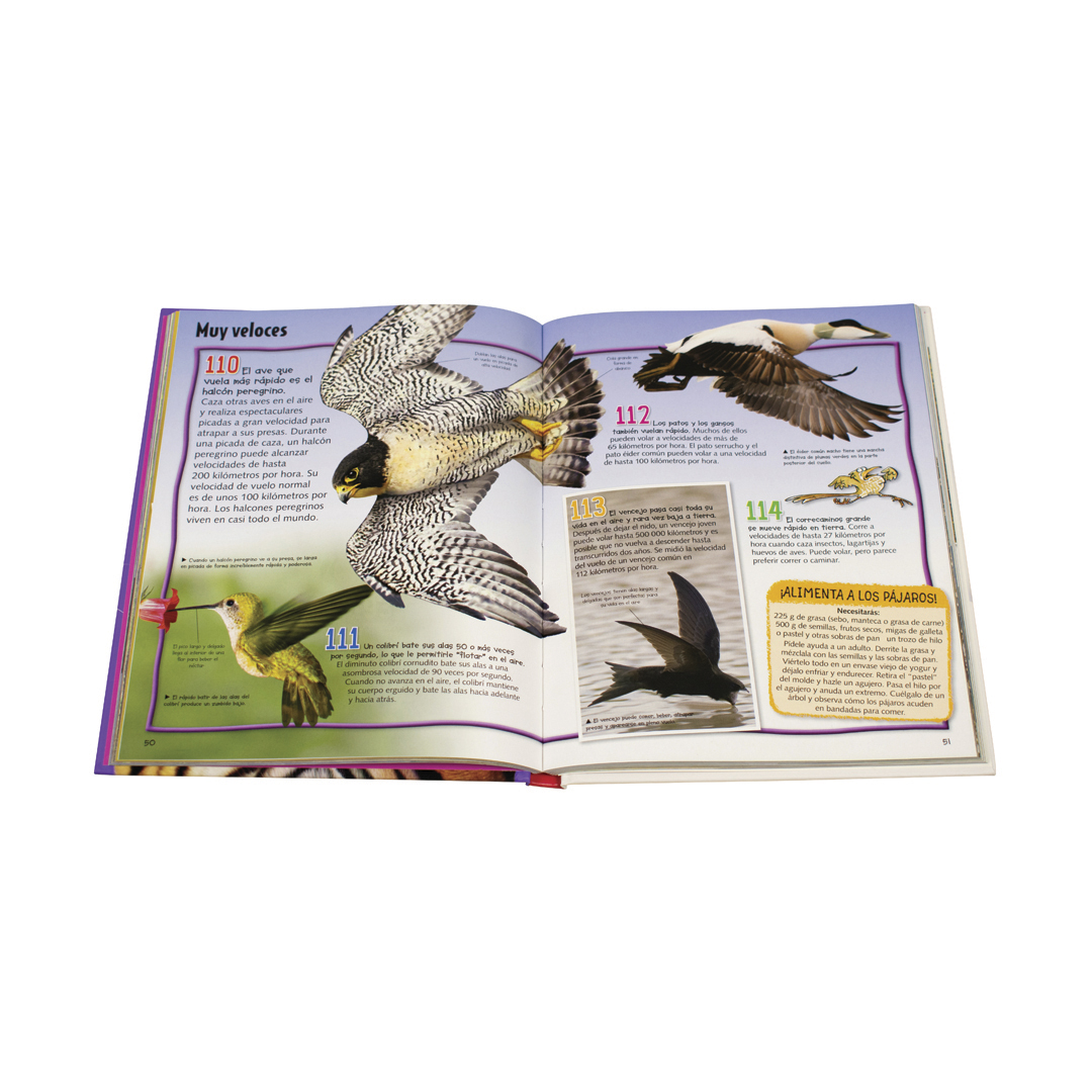 Libro infantil Enciclopedia Junior de los animales - 9786075329970-1