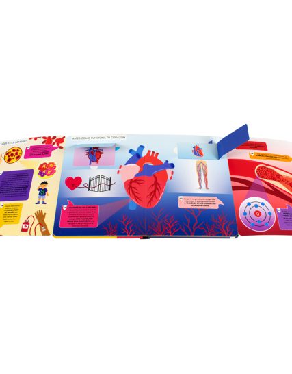 Enciclopedia infantil Hablemos de el cuerpo humano - 9786075771403-1