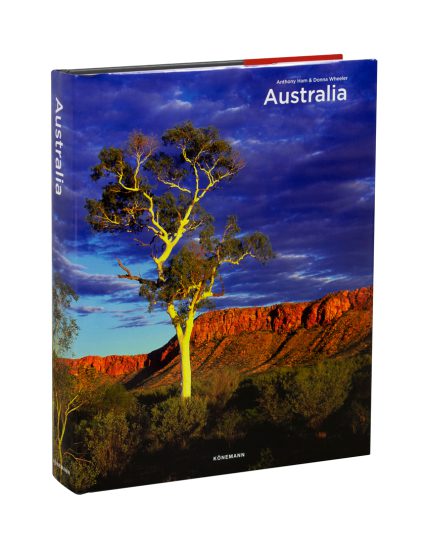 Fat ferdy Australia - 9783741936692