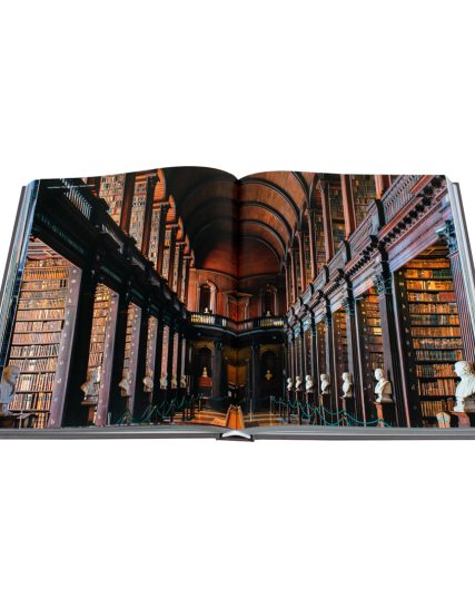 Fat ferdy Ireland - 9783741936517-1