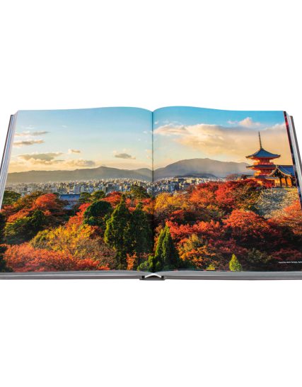 Fat ferdy Japan - 9783741936371-1