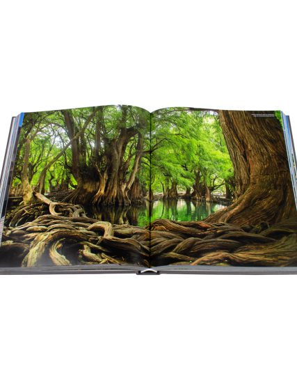 Fat ferdy México - 9783741936401-1