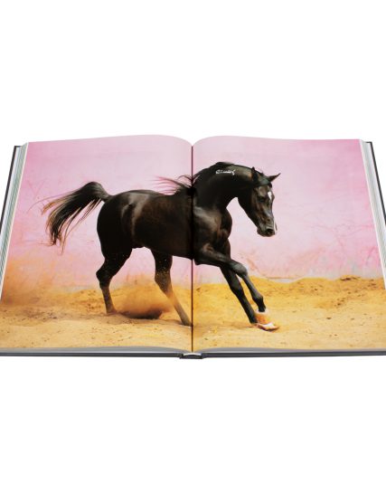 Fat ferdy The Arabian horses - 9783741936593-1