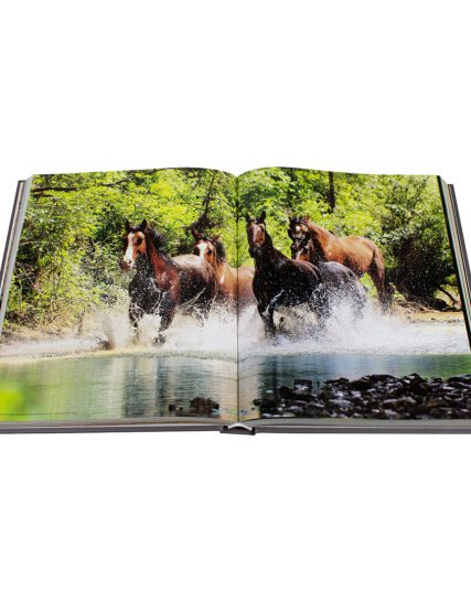 Fat ferdy The world´s most beautiful horses - 9783741936609-1