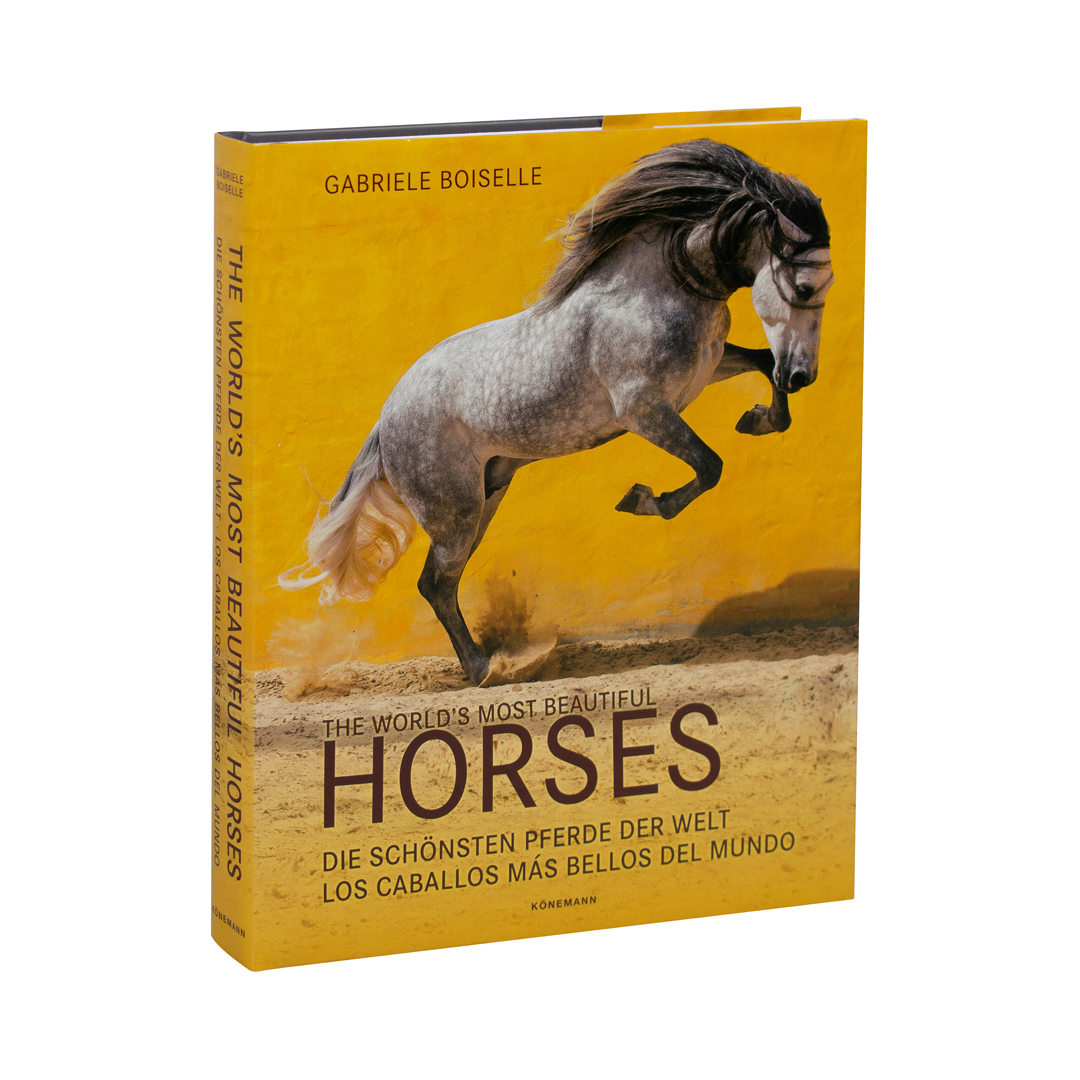 Fat ferdy The world´s most beautiful horses - 9783741936609