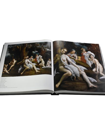 Iron Henry Spanish painting 1, 1200-1665 - 9783741937439-1