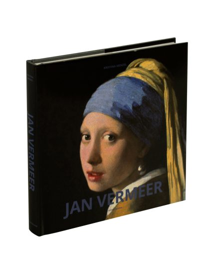 Tiny toro Jan Vermmer - 9783741939198