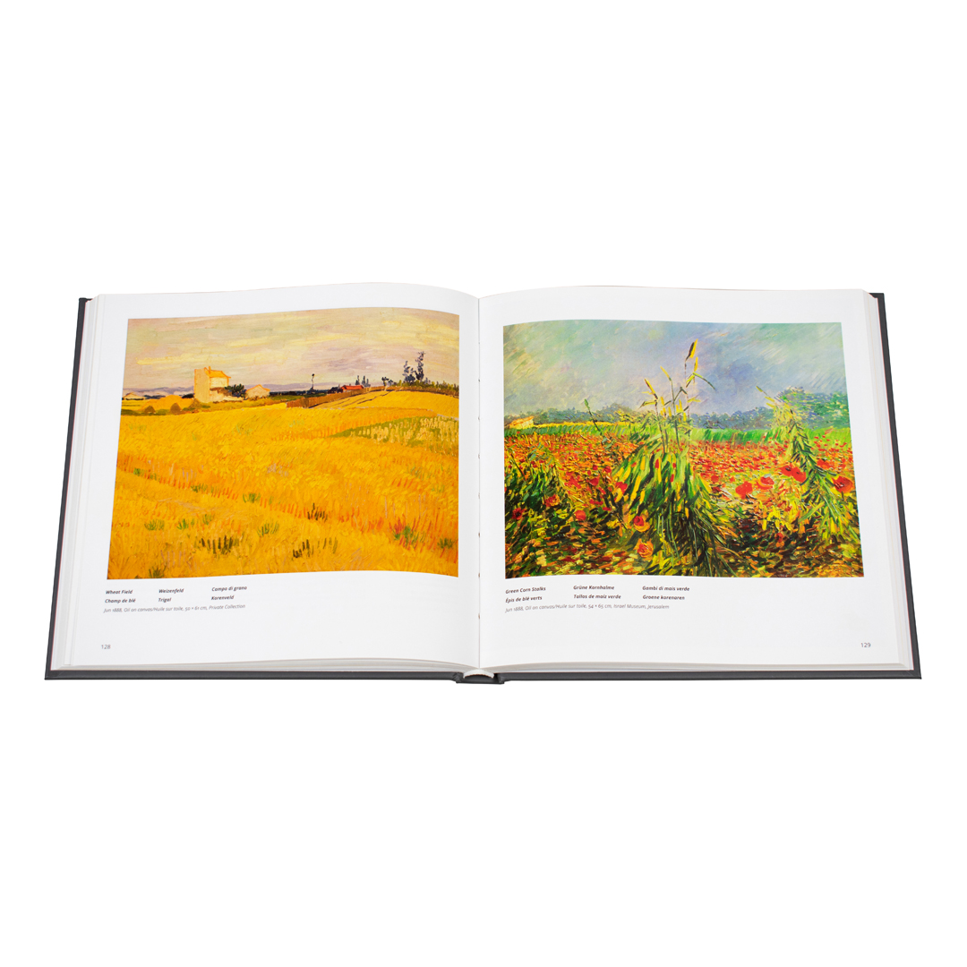 Tiny toro Van Gogh - 9783741939150-1