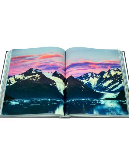 Fat ferdy Alaska - 9783741936661-1