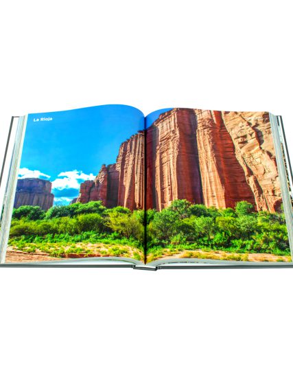 Fat ferdy Argentina - 9783741936715-1