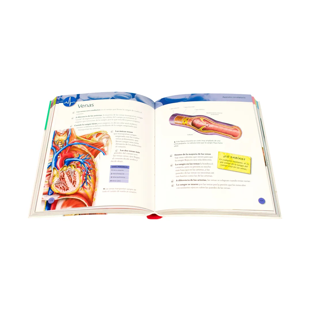 Enciclopedia infantil 384 Paginas enciclopedia del cuerpo humano - 9786075329826-1